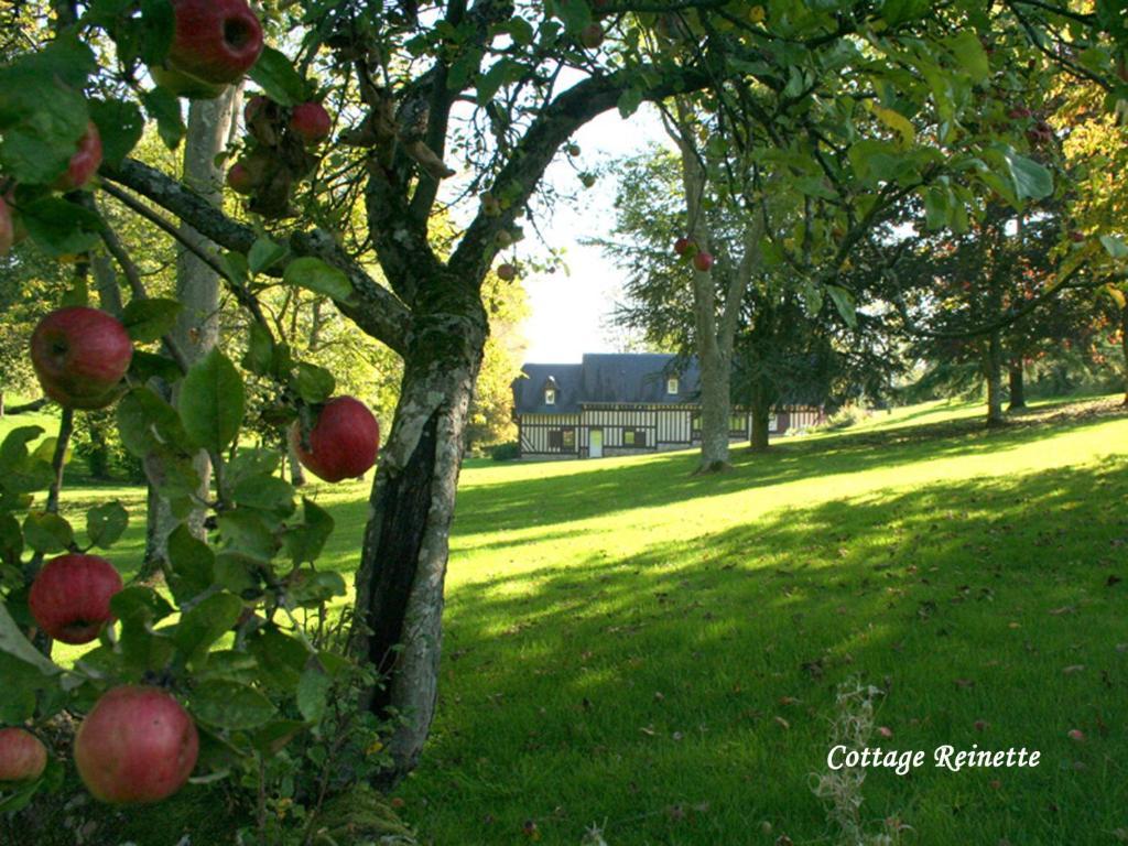 Les Fermes De Florence Bien Etre Et Nature Les Champeaux Habitación foto